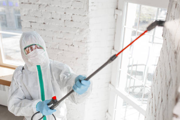 Best Indoor Air Quality Assessment  in Buena Park, CA