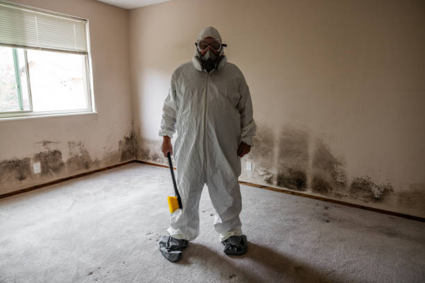 Best Industrial Mold Remediation  in Buena Park, CA