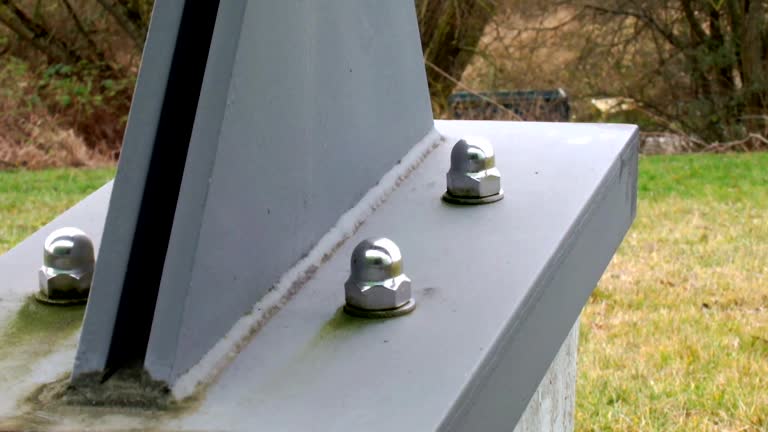 Best Comprehensive Air Testing for Mold Contaminants  in Buena Park, CA